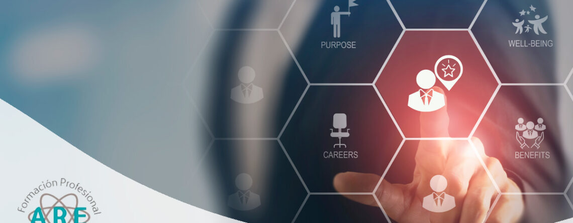 reinsertarte en el mercado laboral